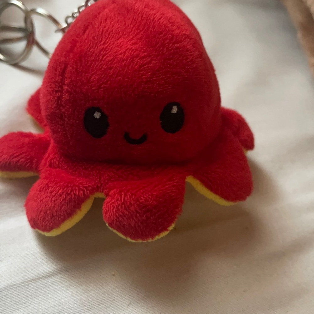 Two sided faced octopus!!